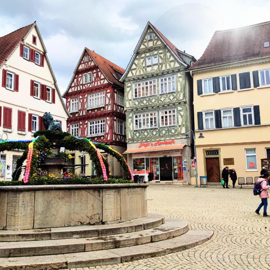 Im Herzen Der Altstadt 恩茨河畔法伊欣根 外观 照片